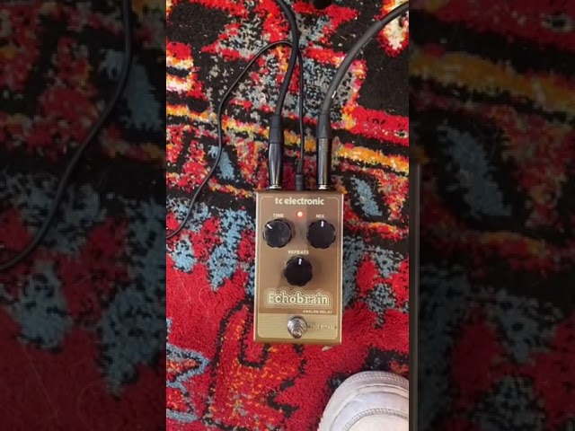 Vídeo relacionado con TC Electronic ECHOBRAIN ANALOG DELAY Pedal de retardo de estilo vintage con circuito de brigada de cubo totalmente analógico