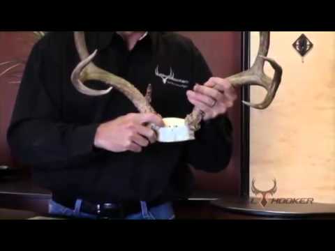 Skull Hooker%27s Bone Bracket  Product Summary