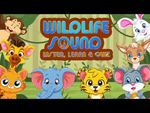 Wildlife Sounds: Learn & Quiz