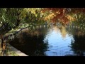 Terry Oldfield -  The long way Home (Perfect Autumn)
