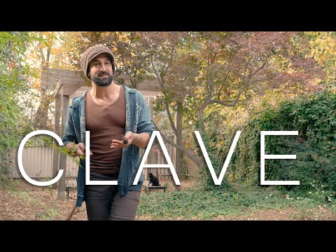 the only video you need about clave