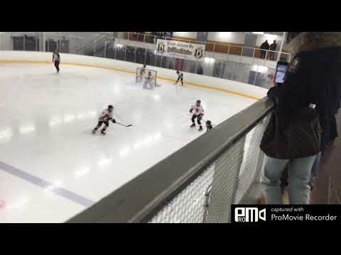 Blues Blue 1   Haukat valkoinen 01 03 2020