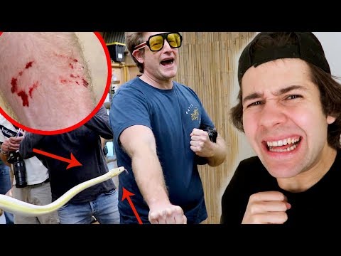 DAD GETS BITTEN BY SNAKE!! (FREAKOUT)