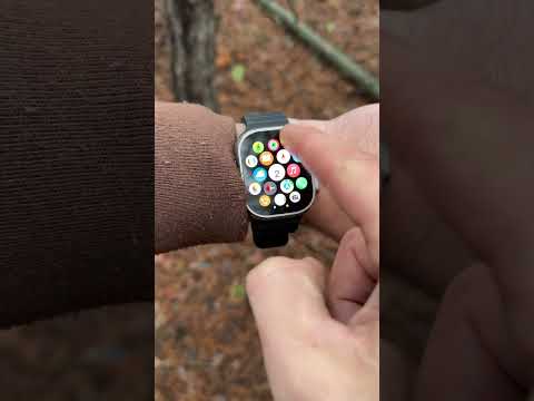 Поїхали у ліс по гриби/село Тіньки