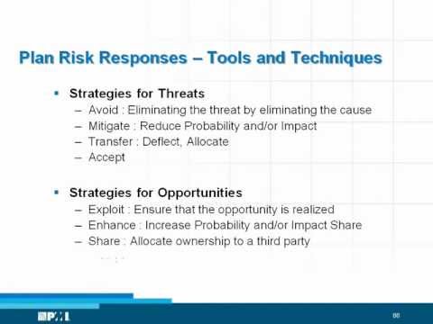 What are the Risk Response Strategies