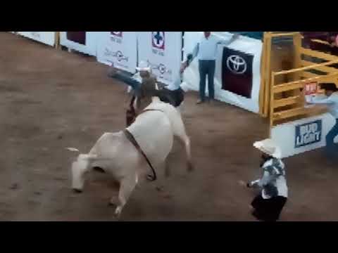 Mario Galindo Invitational 16