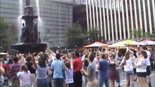 Mayerson Summer Service Program - Flashmob 2011