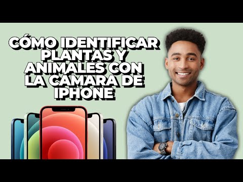 iOS 15: Cómo utilizar Visual Lookup en Fotos para identificar monumentos, plantas y mascotas