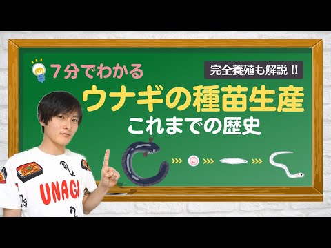 ウナギはどうやって繁殖するの?