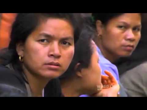 PBS Nova  DOCUMENTARIES  S36E12 Rat Attack