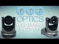 PTZOptics SDI Gen2 PTZ Camera Video #1