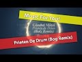 Gândul Mâței - Prieten de Drum (BoG Remix) 