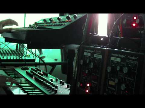 DSI Prophet 08 + Moog Little Phatty progression