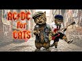 Tabby Thunder Adopt Me If AC DC Were Cats Official Music Video
