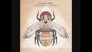 Invisible Allies - Bee's Longing