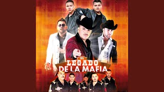 Tokezones De Cannabis