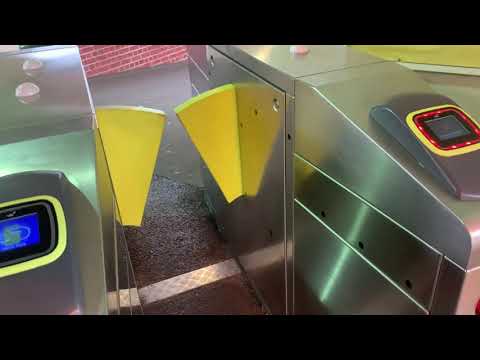 Vlog 28 camberwell station