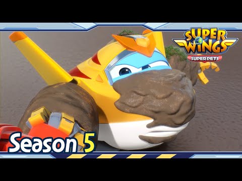 Witness21 Editor  2022 01 08