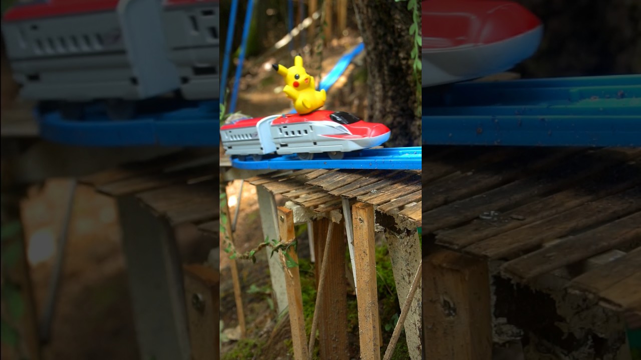 本物の森に作ったプラレールのレイアウト🌳