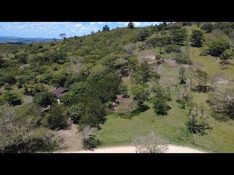 Sítio brejinho chegou a sua oportunidade 4km pra a Br 232 81993028393 valor 75 mil pra negociar  