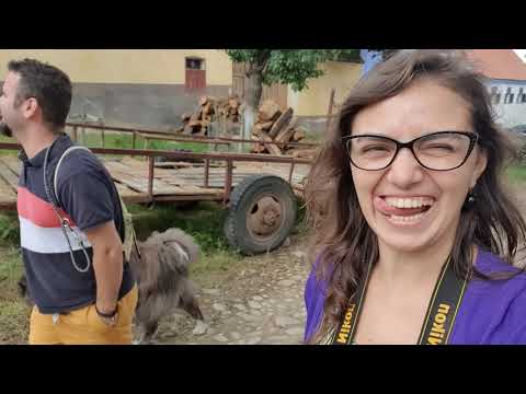 Cloasterf & Viscri vlog