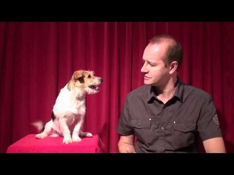 Promotional Items, Promotional Gifts  + Cute Dog, Jack Russell Terrier