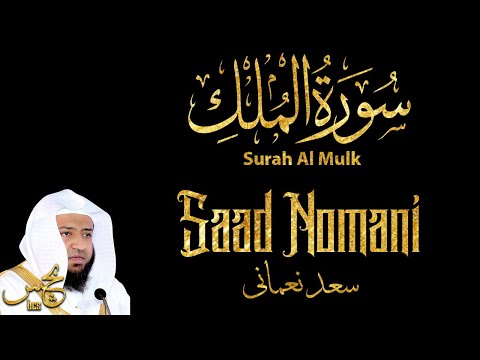Murottal Quran Surah Al Mulk - Saad Nomani | Maqam Ajam/Jiharkah