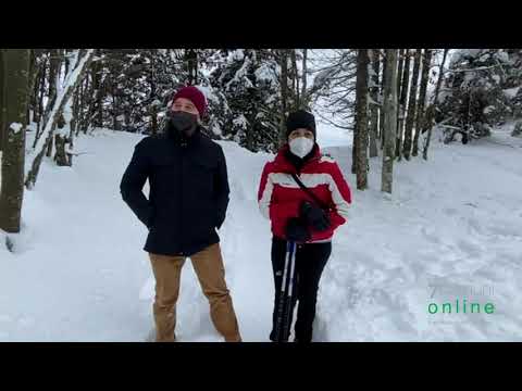 Mattinata a Campolongo sull'Altopiano di Asiago 7 Comuni. Le impressioni di una coppia di turisti.