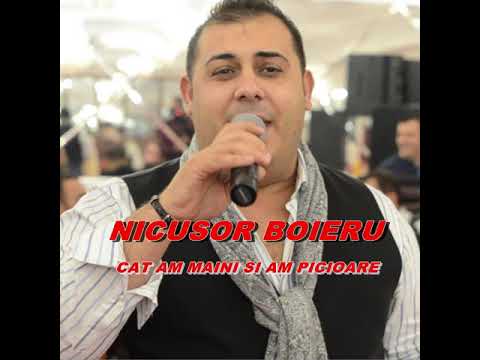 NICUSOR BOIERU-CAT AM MAINI SI AM PICIOARE