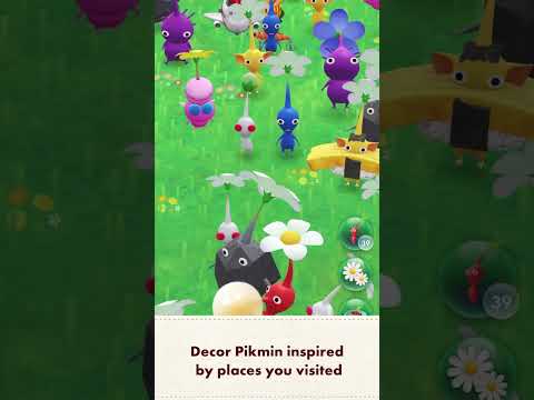 App video