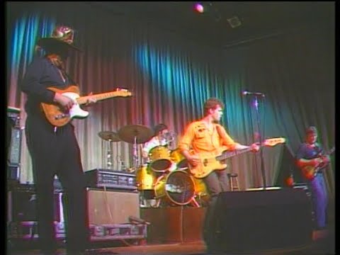 THE VENTURES LIVE IN U.S.A. 1984