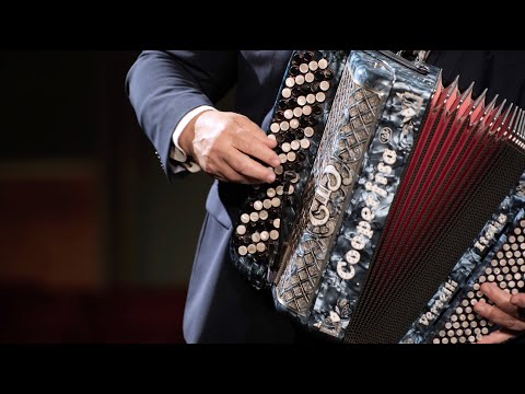 FISARMONICA | "LAGO DORATO" (Valzer) Edmondo Comandini @Musicainballo