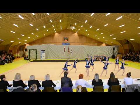 Smágentur Viólin - 1. steypakapping í estetiskum fimleiki