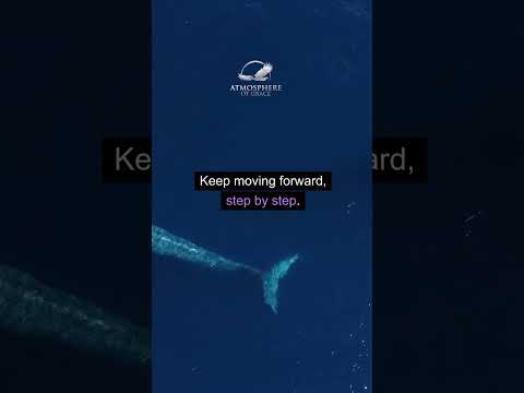 Witness21  2024 01 25