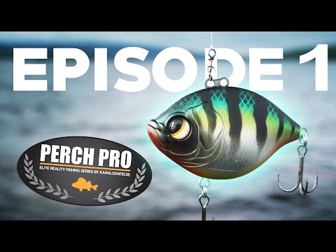 PERCH PRO 6 - Episode 1