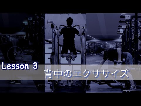 体育学科 背中の筋力トレーニング・エクササイズ（プルアップ、ベントオーバーロウ、ワンハンドロウ）