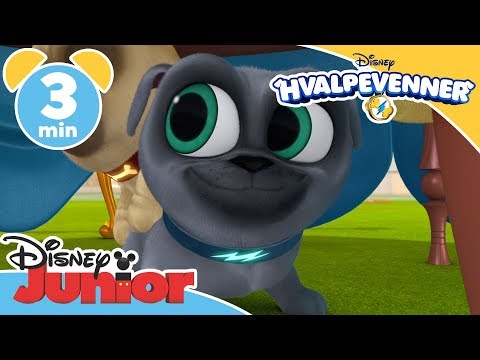 Hvalpevenner | Til te hos dronningen 👑 - Disney Junior Danmark