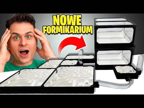 ANTS MOVING TO A NEW HOME!