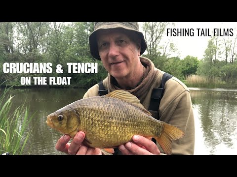 Crucians & Tench on Float tactics using natural baits #tenchfishing #cruciancarp #floatfishing