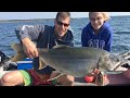Video Thumbnail for Whiteswan Lake Monster LakeTrout