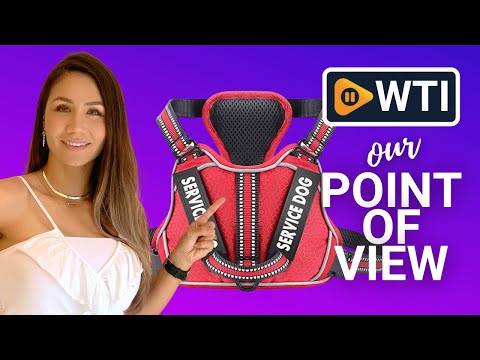 voopet Service Dog Harness - WTI product video review