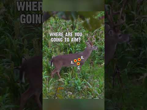 Where would you aim? Deer Shot Placement