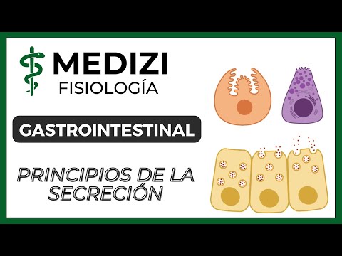 Class 47 Gastrointestinal Physiology - Basic Principles of Secretion (IG:@doctor.paiva)