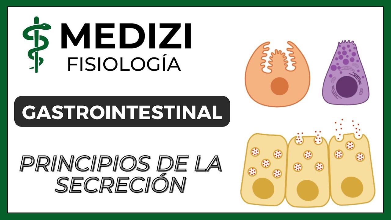 Clase 47 Fisiología Gastrointestinal - Principios básicos de la Secreción (IG:@doctor.paiva)