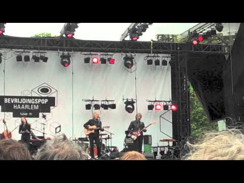 Spinvis - Wespen op de appeltaart [#bpop12]