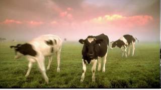 梁文音(Rachel Liang)-月光地毯 (鋼琴獨奏)