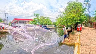 Wow!! Super Cast Net Throwing And Catching Big Tilapia Fish To Sell In Roadside Fish Market