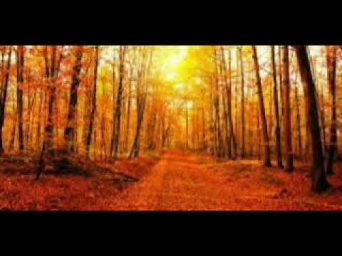 Progressive Rock Mix by The Watcher - Volume 03