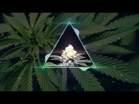 DJ BENS XJOÉ IMPOSSIBLE ZOOK 2K19