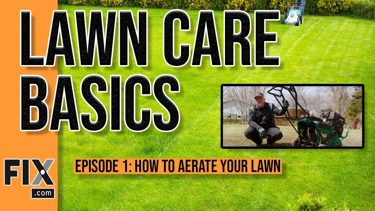Lawn Care Basics: How to Dethatch and Aerate